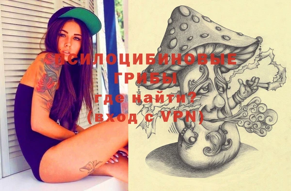 герыч Снежногорск