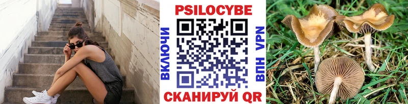 Купить  Усмань  Псилоцибиновые грибы GOLDEN TEACHER 